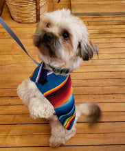 Load image into Gallery viewer, Serape Pet Ponchos