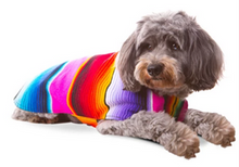 Load image into Gallery viewer, Serape Pet Ponchos