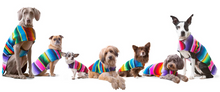 Load image into Gallery viewer, Serape Pet Ponchos