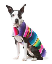 Load image into Gallery viewer, Serape Pet Ponchos