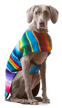 Load image into Gallery viewer, Serape Pet Ponchos