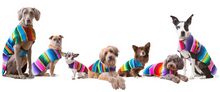 Load image into Gallery viewer, Serape Pet Ponchos
