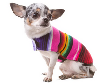 Load image into Gallery viewer, Serape Pet Ponchos
