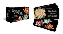 Load image into Gallery viewer, The Language of Flowers: Mini Inspiration Cards
